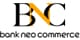 BSI Fast Pay logo